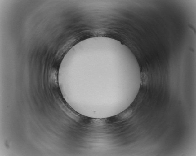 X0000103310238200809261344