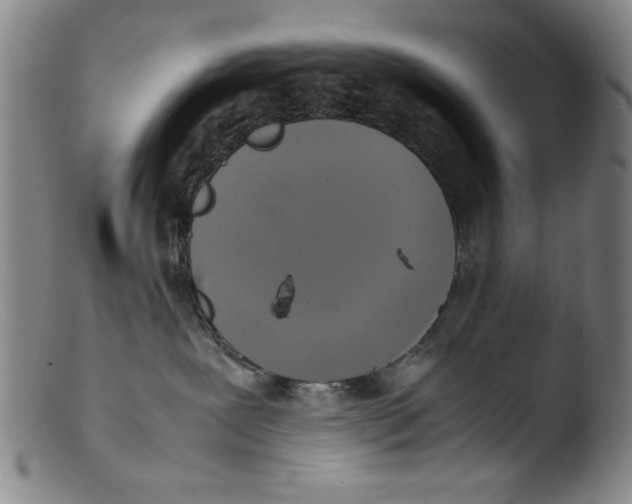 X0000103310239200809261344