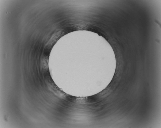 X0000103310240200809261344