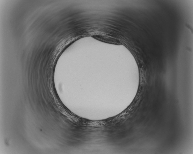 X0000103310241200809261343