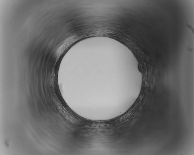 X0000103310242200809261343