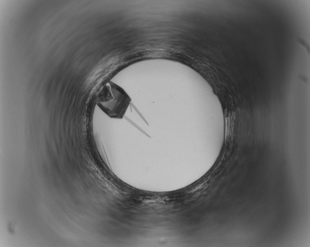 X0000103310243200809261343