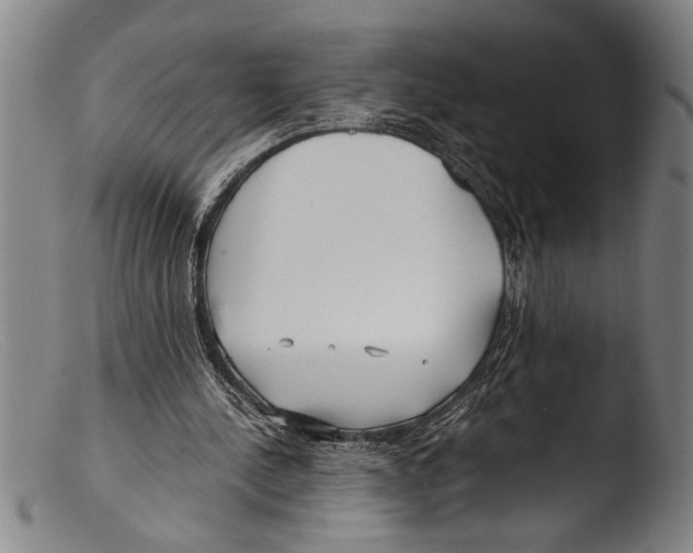 X0000103310244200809261343