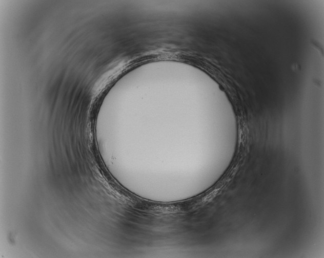 X0000103310245200809261343