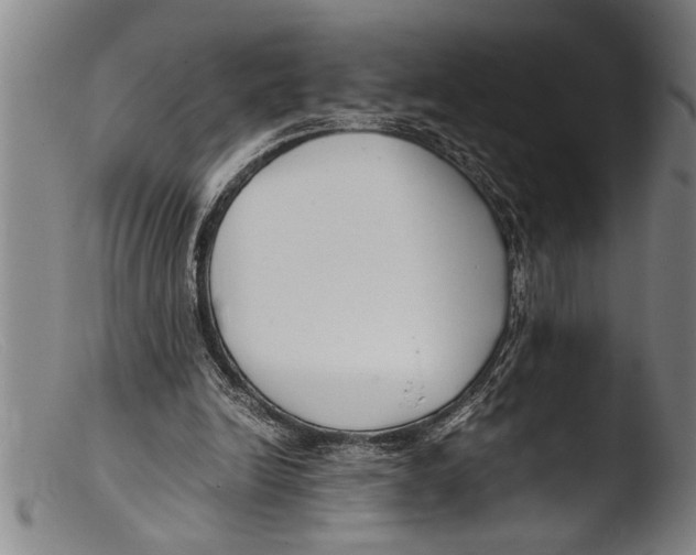 X0000103310246200809261343