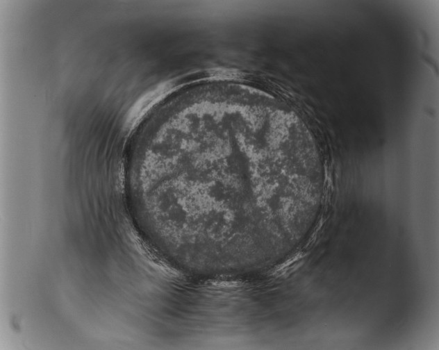 X0000103310247200809261343