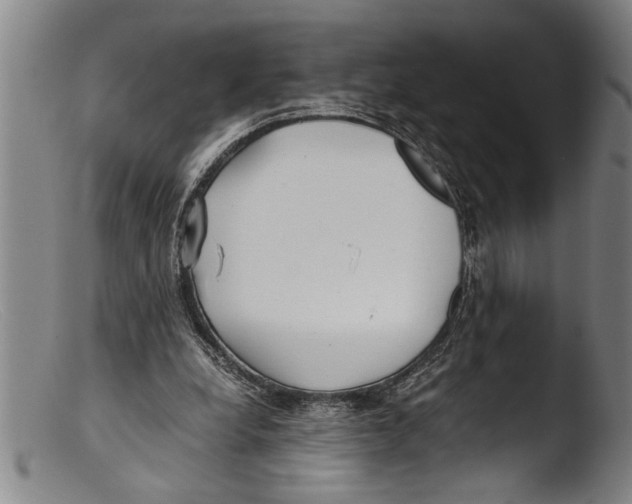 X0000103310248200809261343