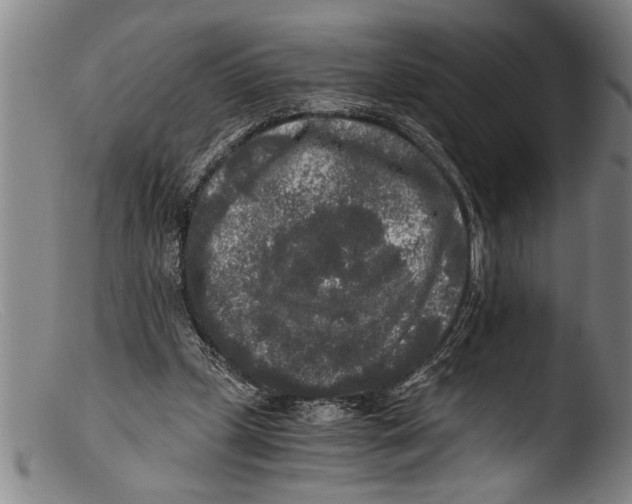 X0000103310249200809261343