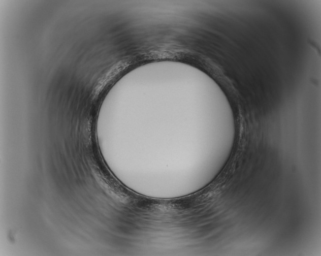 X0000103310250200809261343