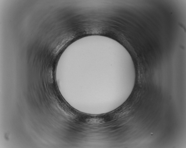 X0000103310251200809261343