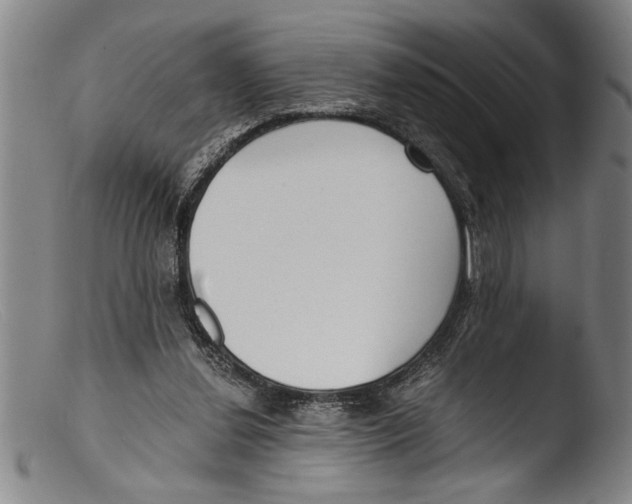 X0000103310252200809261343