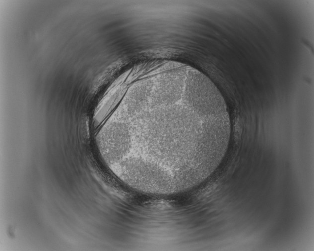 X0000103310254200809261343