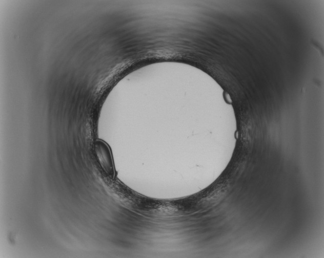 X0000103310256200809261343