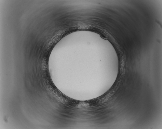 X0000103310257200809261343