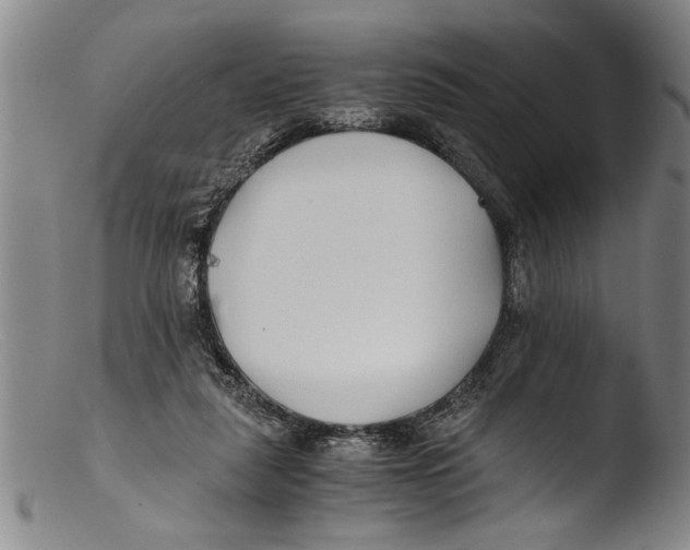 X0000103310259200809261343