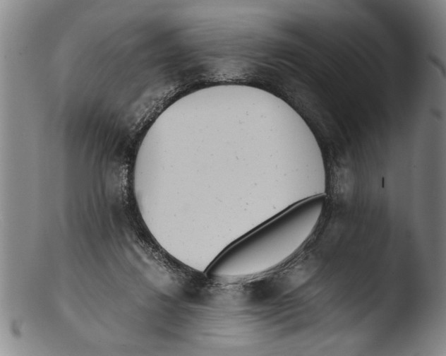 X0000103310260200809261343