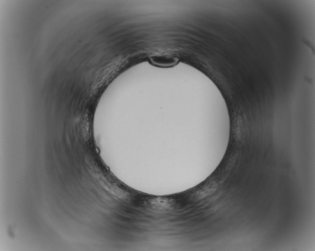 X0000103310261200809261343