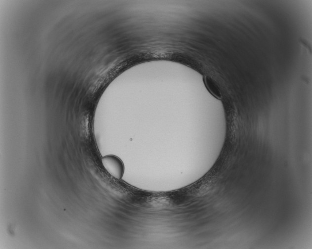 X0000103310262200809261343