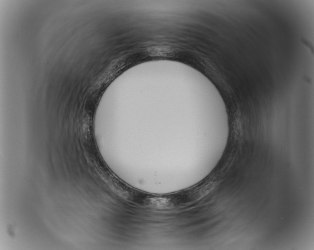 X0000103310265200809261343