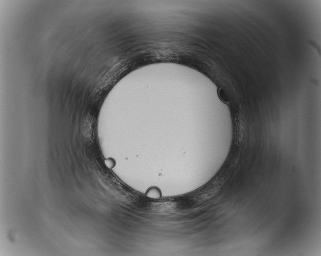 X0000103310266200809261343