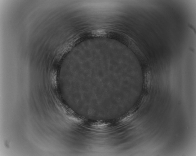 X0000103310267200809261343