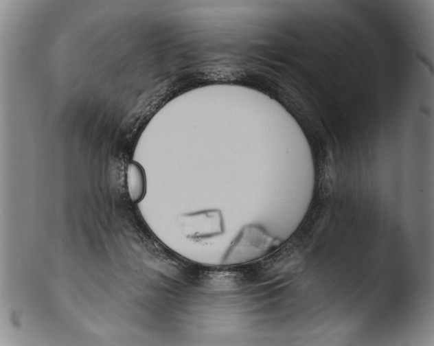 X0000103310268200809261343
