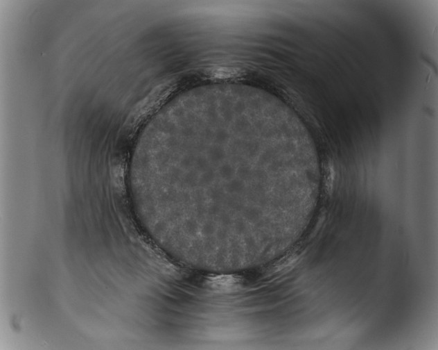 X0000103310269200809261343