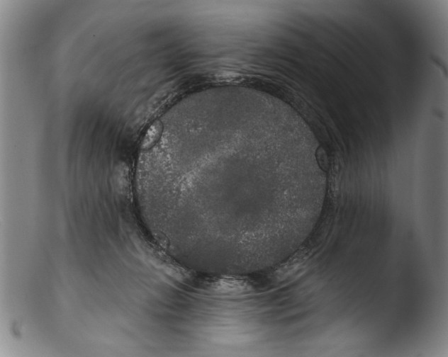 X0000103310270200809261343