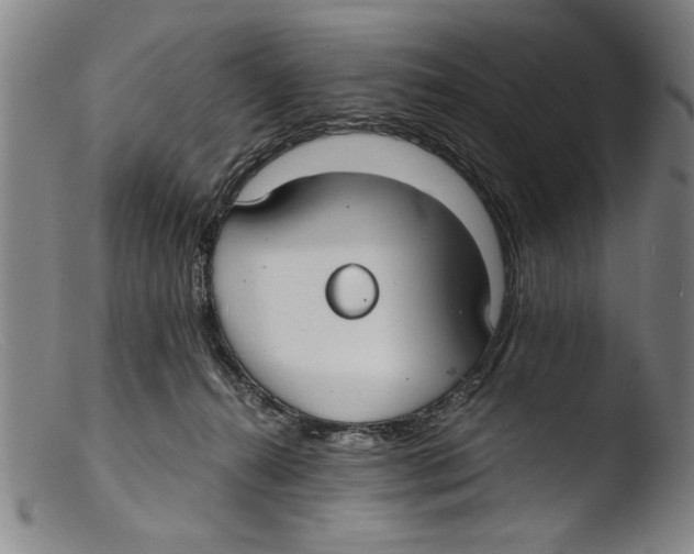 X0000103310272200809261343