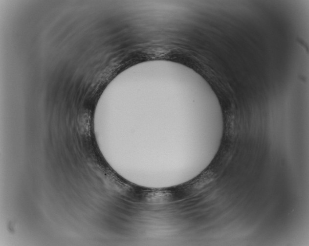 X0000103310274200809261343