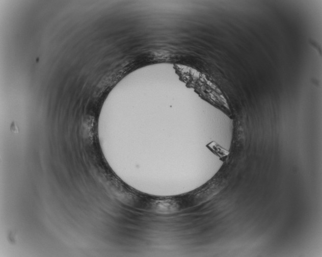 X0000103310275200809261343