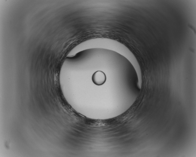 X0000103310276200809261344