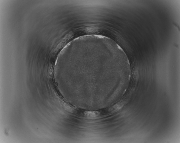 X0000103310277200809261344