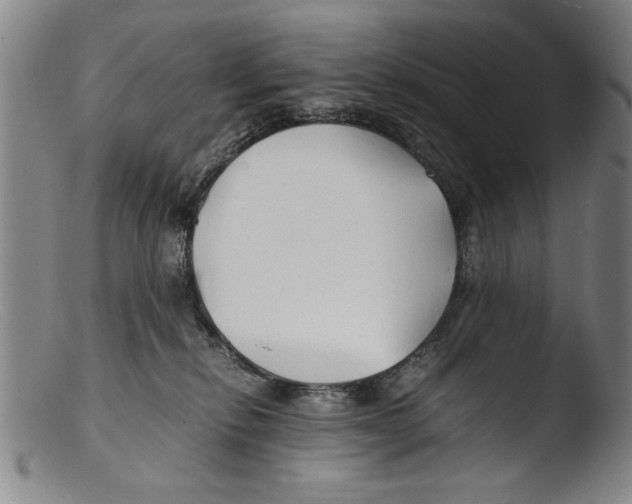 X0000103310278200809261344