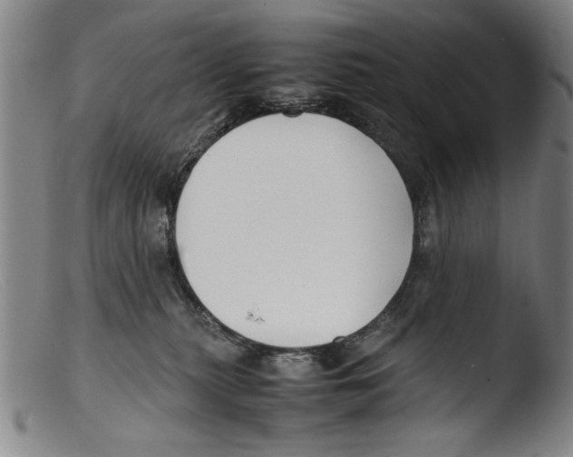 X0000103310279200809261344