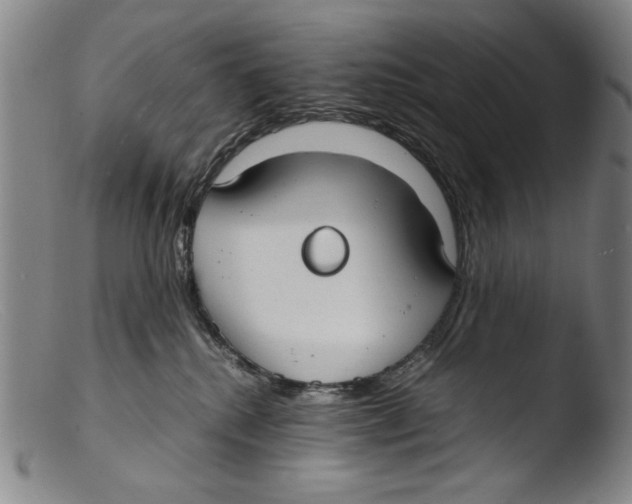 X0000103310280200809261344