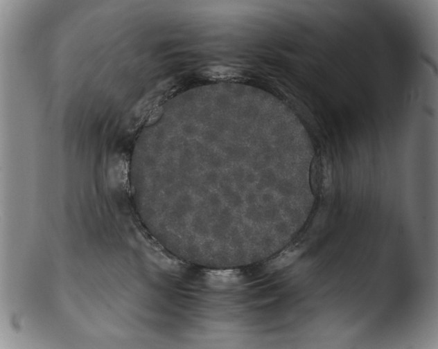 X0000103310281200809261344