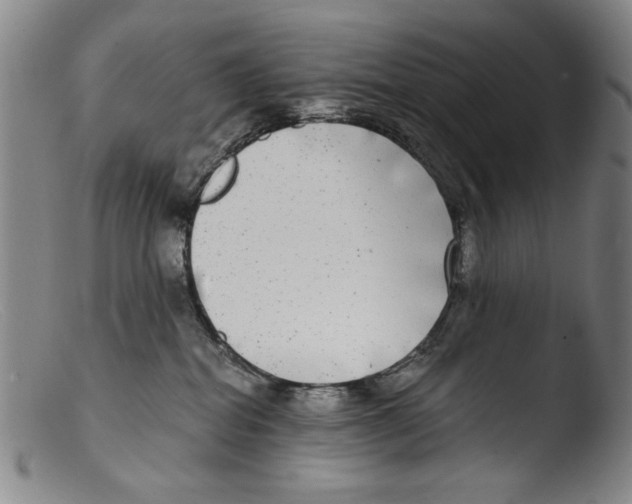 X0000103310282200809261344