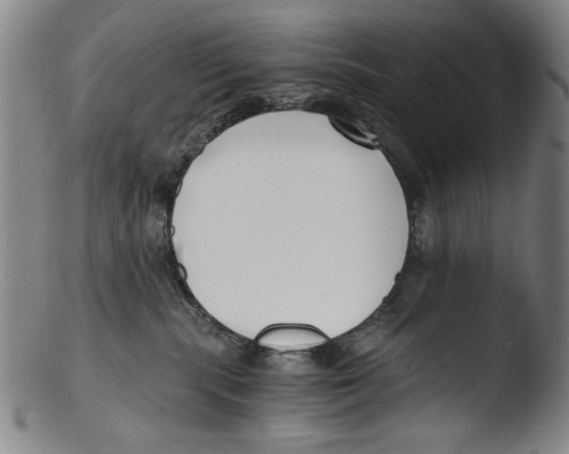 X0000103310283200809261344