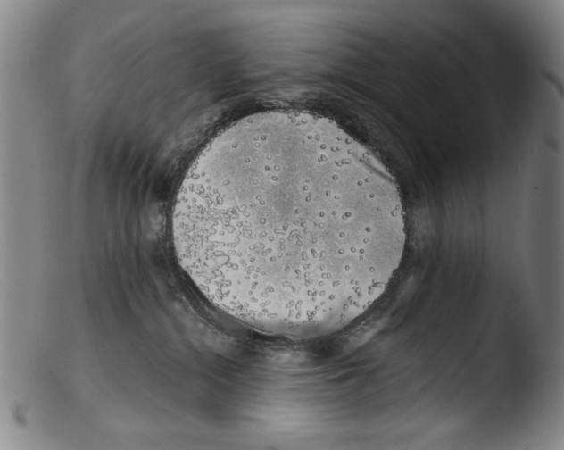 X0000103310284200809261344