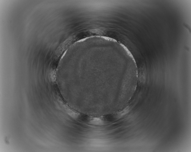 X0000103310285200809261344