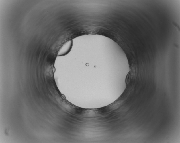 X0000103310286200809261344