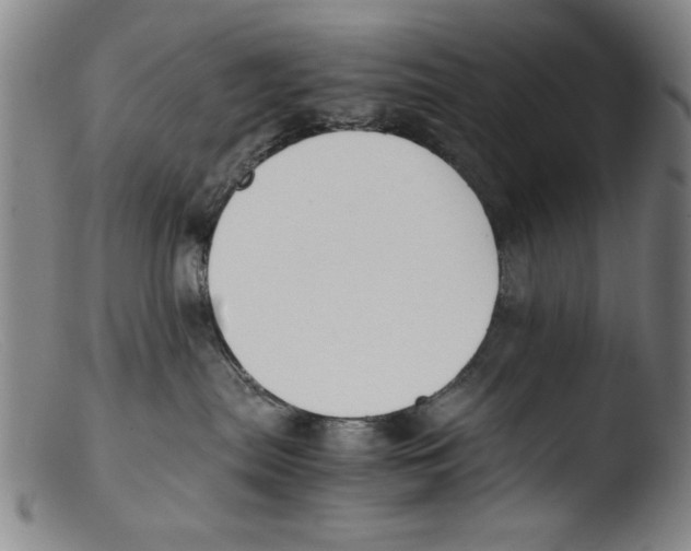 X0000103310287200809261344