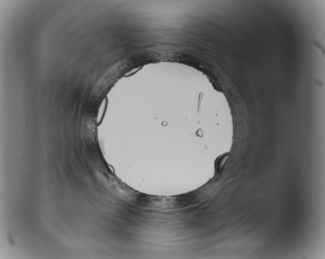 X0000103310288200809261344