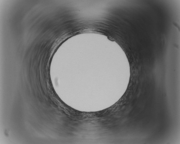 X0000103310289200809261343