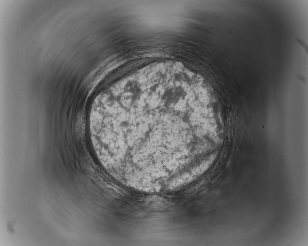 X0000103310290200809261343