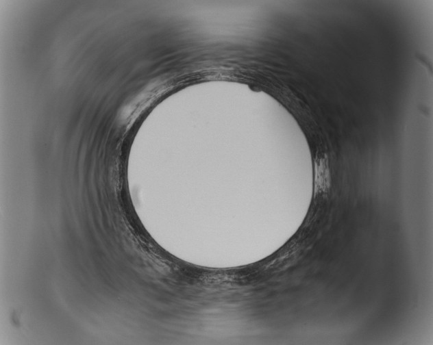 X0000103310291200809261343