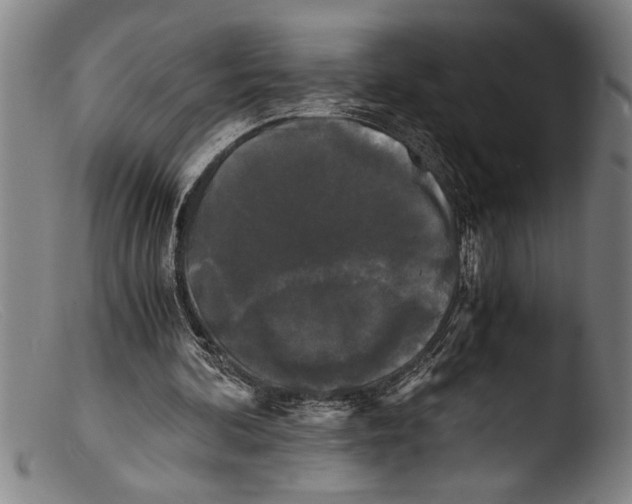 X0000103310292200809261343