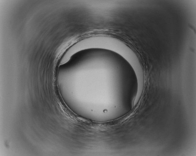 X0000103310293200809261343