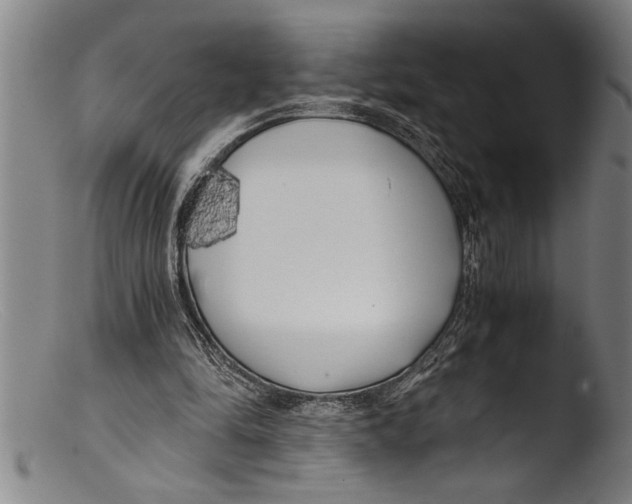 X0000103310294200809261343